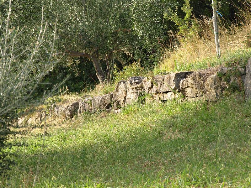 Copy of P9114416.JPG